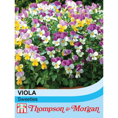 Thompson & Morgan Viola X Williamsiana Sweeties 1 Seed Packet (25 Seeds) from B&Q
