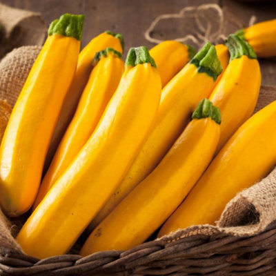 Thompson & Morgan Courgette Lingodor F1 1 Seed Packet from B&Q