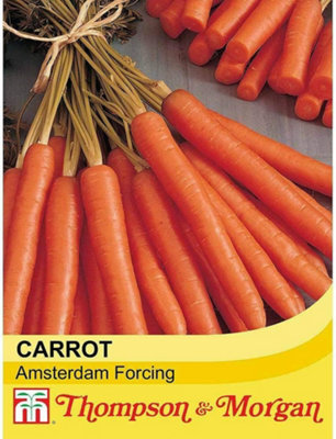 Thompson & Morgan Carrot Amsterdam Forcing 3 3 Packets Inc: (1500 Seeds) from B&Q