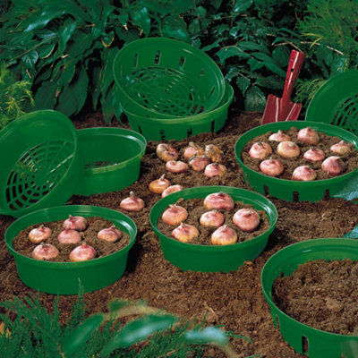 Thompson & Morgan Bulb Planting Basket X 1Easy To Use from B&Q