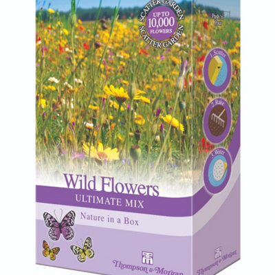 Thompson & Morgan Wildflower Seed Mix - 200g - Native Wildflowers & Grasses - Image 4