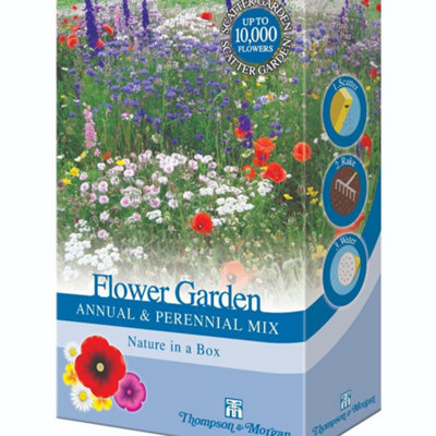 Thompson & Morgan Flower Seeds - Annual & Perennial Mix - 2 Pack - Image 4