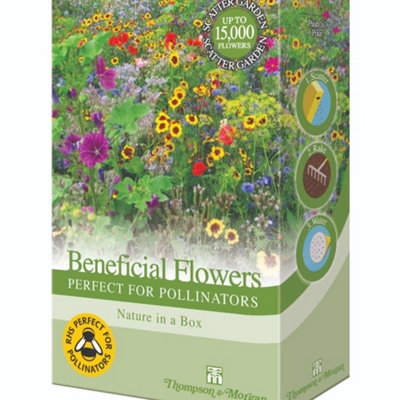 Thompson & Morgan Scatter Pack Pollinator Flower Garden Seeds - 2 Units - Image 4