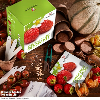 Thompson & Morgan Gift Seed Grow Kit Exotic Fruit from B&Q