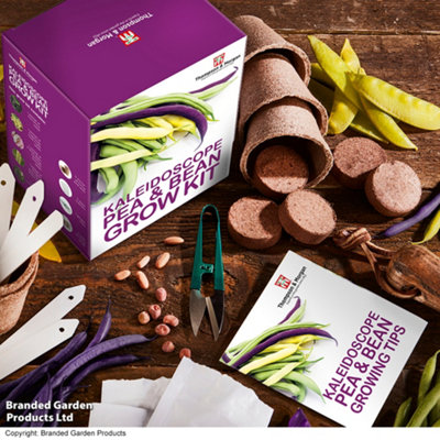 Thompson & Morgan Gift Seed Grow Kit Kaleidoscope Pea & Bean from B&Q