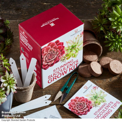 Thompson & Morgan Gift Seed Grow Kit Stunning Succulents from B&Q