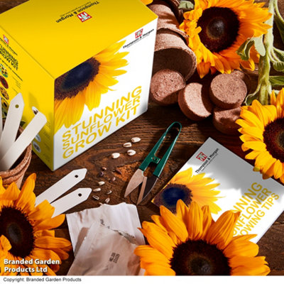 Thompson & Morgan Gift Seed Grow Kit Stunning Sunflowers from B&Q