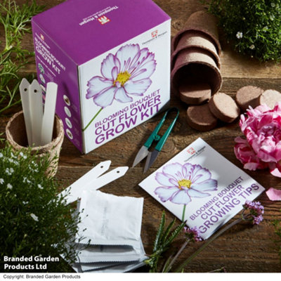 B&Q -  Blooming Bouquet Cut Flower Growing Kit