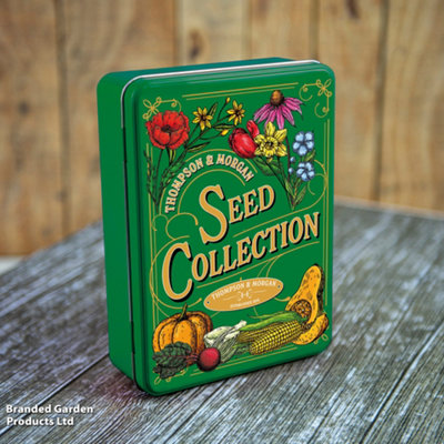 Thompson & Morgan Garden GiftGreen Seed Storage Collection Tin from B&Q