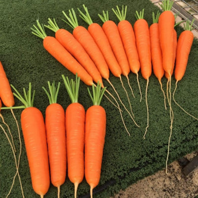 Thompson & Morgan Carrot Octavo F1 Nantes Type Smooth Sweet Crisp High Yield Uniform Roots Seed Packet from B&Q
