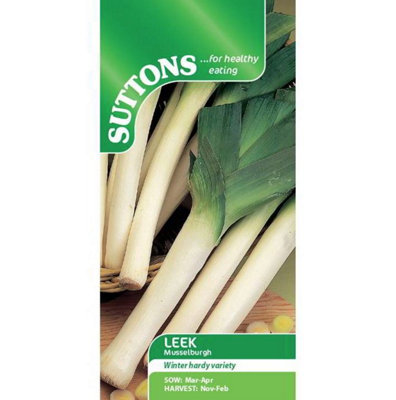 Suttons Seeds Leek Musselburgh Grow Your Own Vegetables Average 1400 Seeds from B&Q