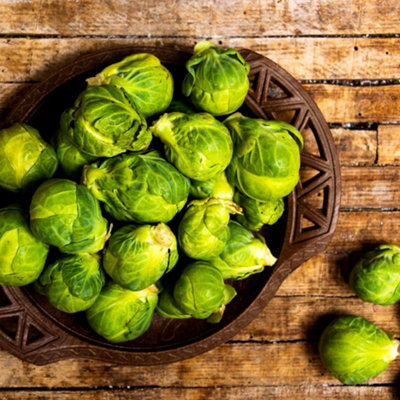 Thompson & Morgan Brussels Sprout Continuity Collection3 PostiplugsAward-Winning Veg SeedsOct-Feb HarvestPot FriendlyThompson & Morga from B&Q
