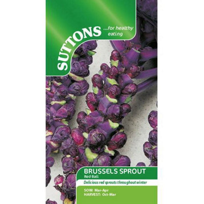 Suttons Seeds Brussels Sprout Red Ball 1 Packet from B&Q