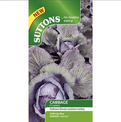 Suttons Seeds Cabbage F1 Lodero 1 Packet from B&Q