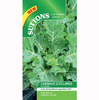 Suttons Seeds Cabbage / Collard F1 Sweetie 1 Seed Packet from B&Q
