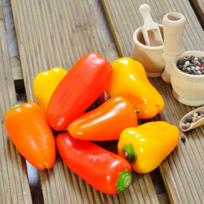 B&Q -  F1 Snackbite Sweet Mini Pepper MixColourful Crisp Snack Variety Easy Grow Uk Garden Seed Packet