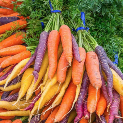 Suttons Seeds Carrot Rainbow Mix 1 X Seed Packet from B&Q