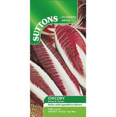 Suttons Seeds Chicory Rossa Di Treviso Precoce 1 Packet from B&Q