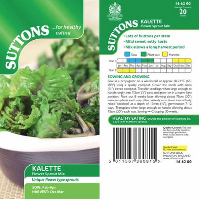 Suttons Seeds Brussels Sprouts Kalette Flower Sprout Mix 1 Packet from B&Q