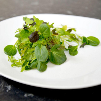 Thompson & Morgan Oriental Wonders Mix Salad SeedsEasy Grow Vibrant Flavors Homegrown Salads from B&Q