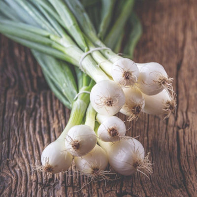 Paris Silverskin Onion Seeds Easy Grow Delicious Salad/pickling Onion. Home Garden. Thompson & Morgan. from B&Q