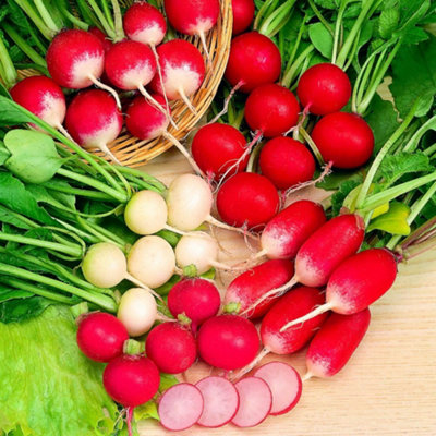 Thompson & Morgan Radish Rainbow Mix 6M Seed Tape Colourful Salad & Stir-Fry Veg Easy Sow Continuous Harvest March-August By Thompson And Morgan from B&Q