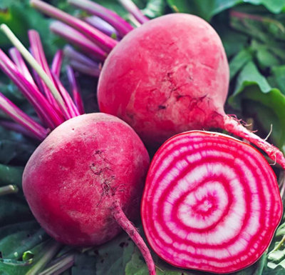 Suttons Seeds Beetroot Chioggia Pink 1 Seed Packet from B&Q