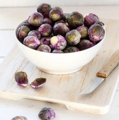 Suttons Seeds Suttons Seed Brussels Sprout Red Rubine 1 Packet from B&Q