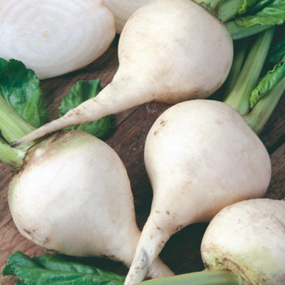 Thompson & Morgan Organic White Albino Beetroot SeedsSweet Mild Flavor Easy Grow Vegetable Salad & Cooking from B&Q