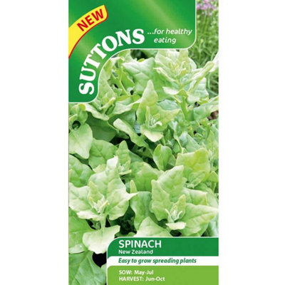 Suttons Seeds Spinach New Zealand 1 Packet Seeds from B&Q