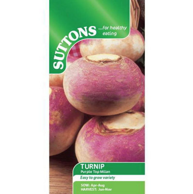 Suttons Seeds Turnip Purple Top Milan 1 Seed Packet from B&Q