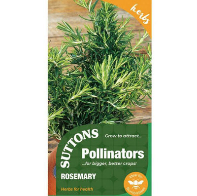 Suttons Seeds Herb Rosemary 1 Packet from B&Q