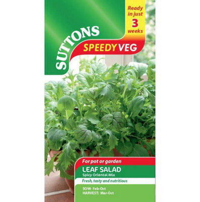 Suttons Seeds Speedy Veg Leaf Salad Spicy Oriental Mix 1 Packet from B&Q
