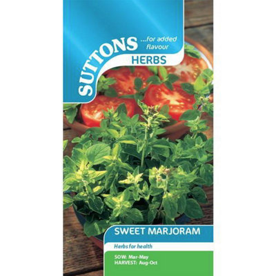 Suttons Seeds Herb Marjoram Sweet 1 Seed Packet from B&Q