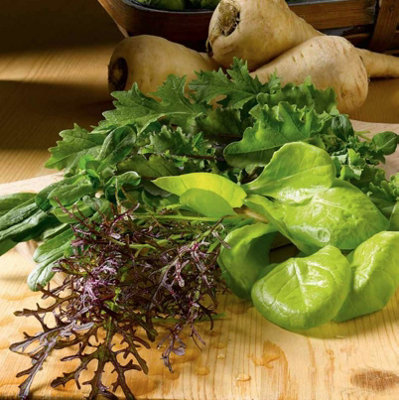 Suttons Seeds Leaf Salad Winter Mix 1 Packet from B&Q