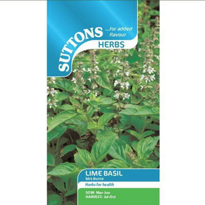 Suttons Seeds Herb Basil Lime Mrs Burns 1 Packet from B&Q