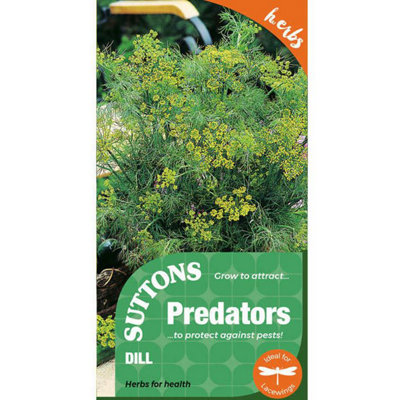 Suttons Seeds Herb Dill 1 X Seed Packet from B&Q