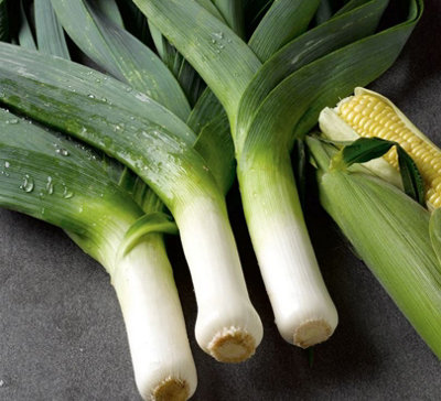 Suttons Seeds Dobies Leek Musselburgh 1 X Seed Packet from B&Q