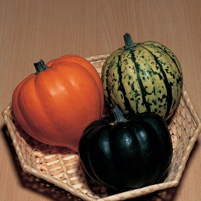 Suttons Seeds Squash Celebration F1 1 X Seed Packet from B&Q
