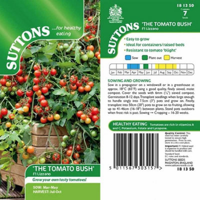 Suttons Seeds Tomato F1 Lizzano 1 Seed Packet from B&Q