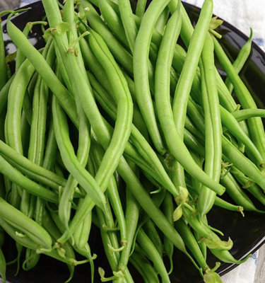 Suttons Seeds Bean (Dwarf French) Safari 1 Packet from B&Q