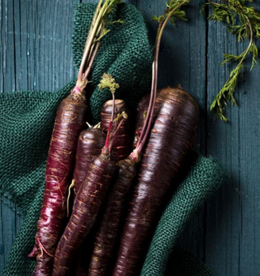 Suttons Seeds Carrot Deep Purple F1 1 Packet from B&Q