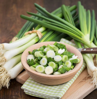 Suttons Seeds Onion White Lisbon Winter Hardy 1 Packet from B&Q