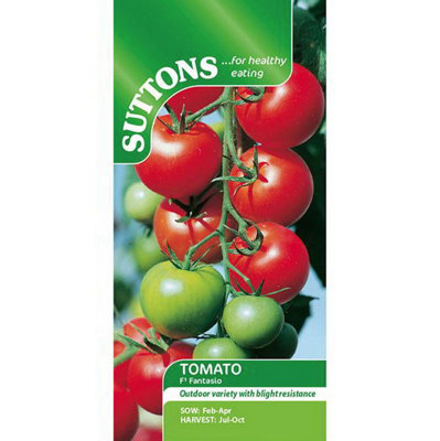Suttons Seeds Tomato F1 Fantasio 1 Packet from B&Q
