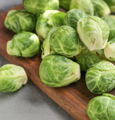 Suttons Seeds Dobies Brussels Sprout Long Island 1 Seed Packet from B&Q