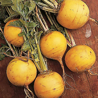 Suttons Seeds Suttons Seed Turnip Golden Ball 1 Seed Packet from B&Q