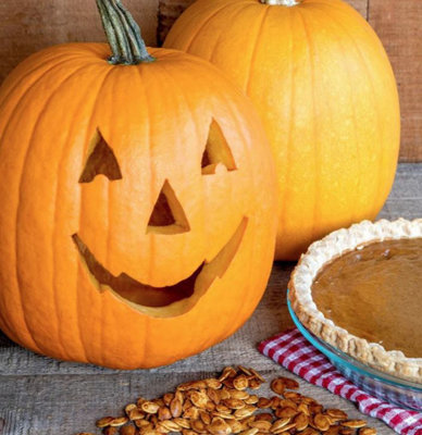 B&Q -  Pumpkin Triple Treat 1 Seed Packet