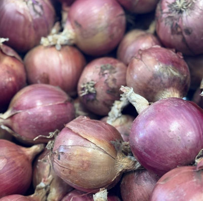Suttons Seeds Onion Blush F1 Seed Packet from B&Q