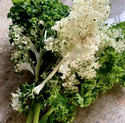 Suttons Seeds Kale Frost Byte F1 1X Seed Packet from B&Q