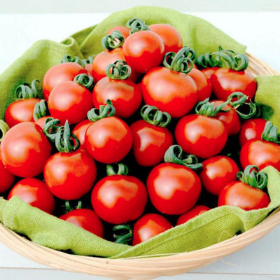 Suttons Seeds Tomato Garnet 1 Seed Packet from B&Q